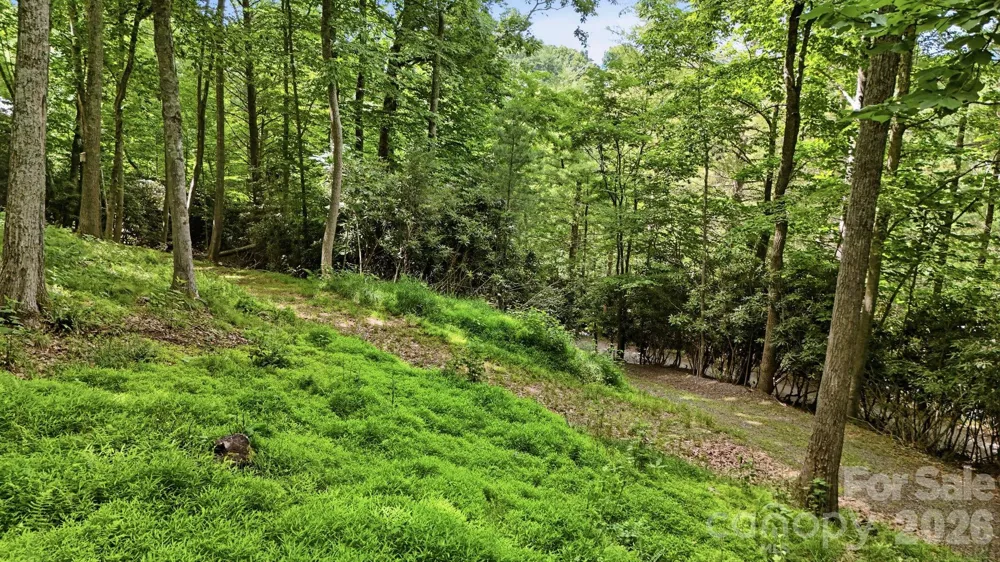 176 Ravens View Boone, NC 28607