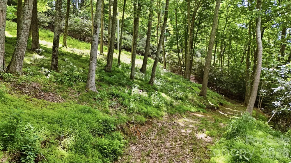 176 Ravens View Boone, NC 28607