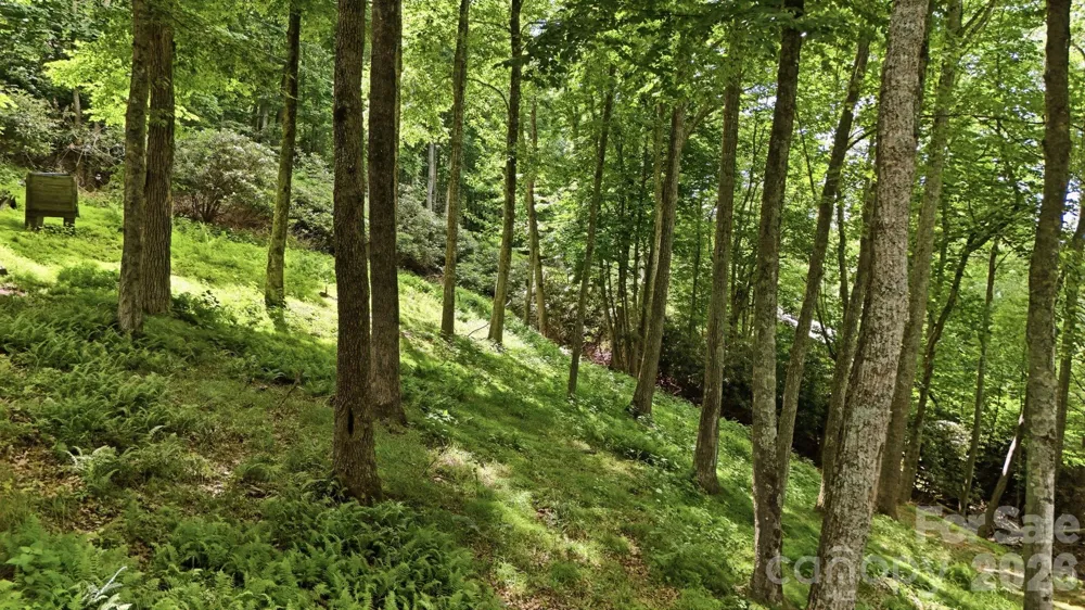 176 Ravens View Boone, NC 28607