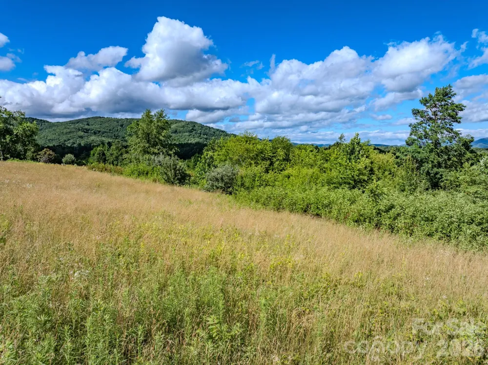 000 Rocky Hill Drive #5 & 7 Hendersonville, NC 28792