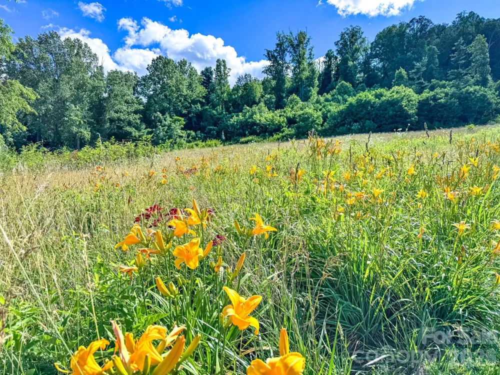 000 Rocky Hill Drive #5 & 7 Hendersonville, NC 28792