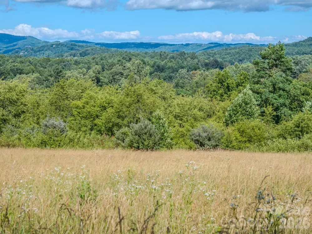 000 Rocky Hill Drive #5 & 7 Hendersonville, NC 28792