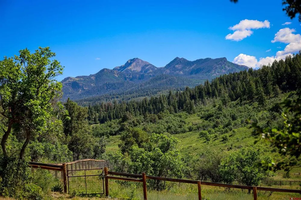 1124 Roush Drive Pagosa Springs, CO 81147