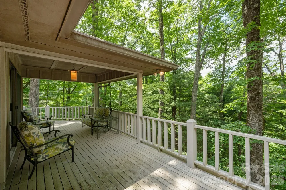 117 Tarnhill Drive Flat Rock, NC 28731