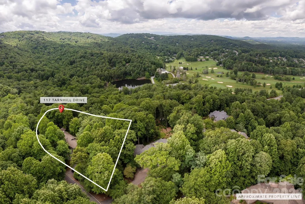 117 Tarnhill Drive Flat Rock, NC 28731