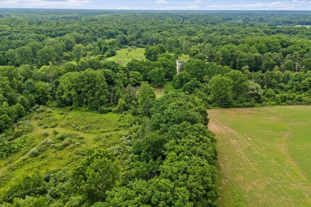 1187 Parks Road Wales Township, MI 48027