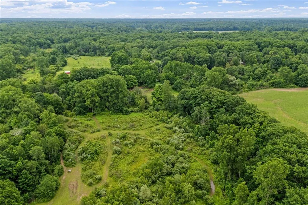 1187 Parks Road Wales Township, MI 48027