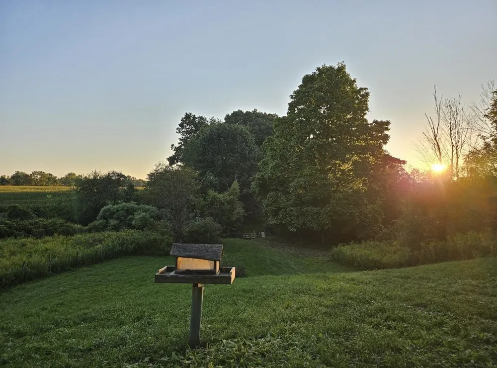 1187 Parks Road Wales Township, MI 48027