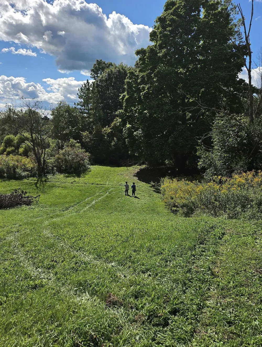 1187 Parks Road Wales Township, MI 48027