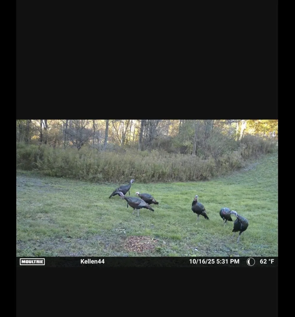 1187 Parks Road Wales Township, MI 48027