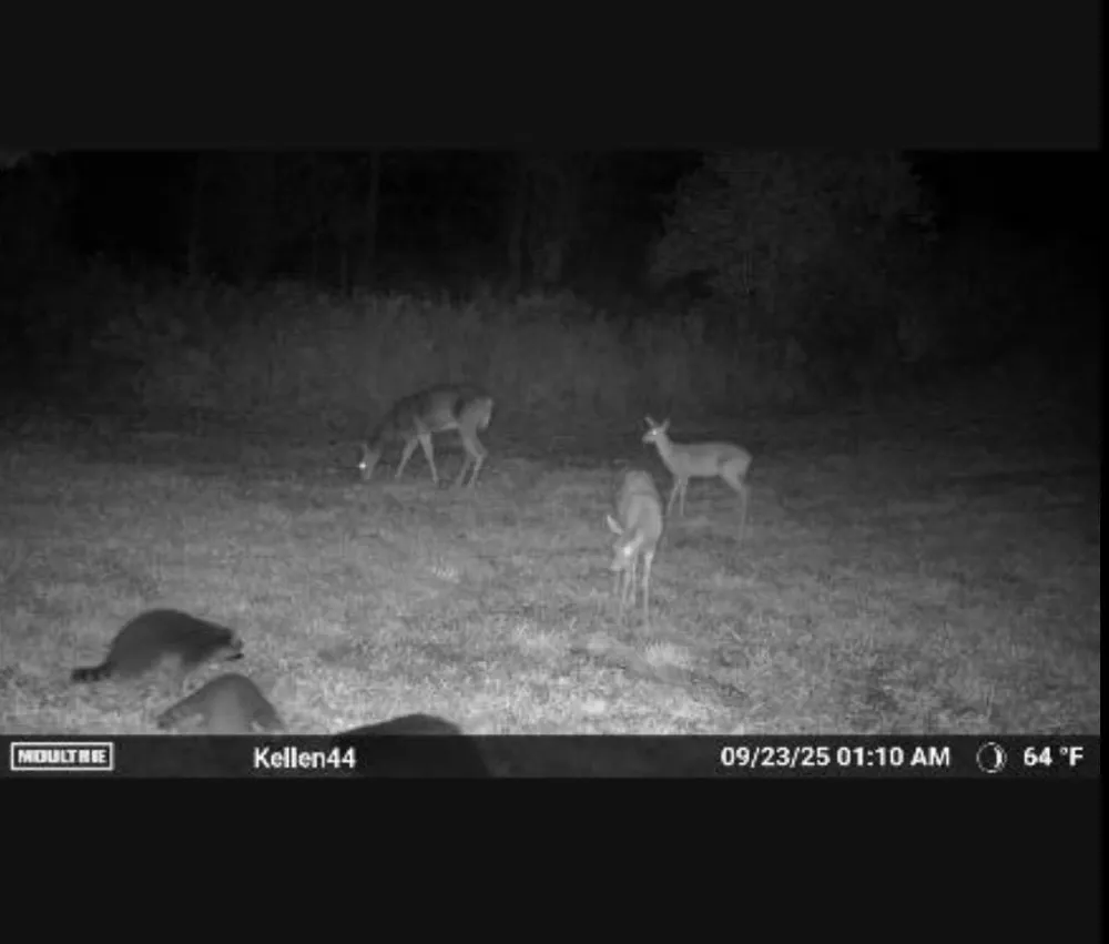 1187 Parks Road Wales Township, MI 48027