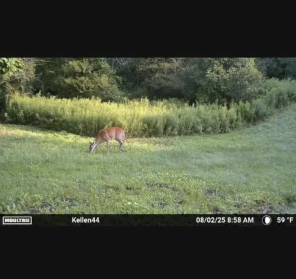 1187 Parks Road Wales Township, MI 48027