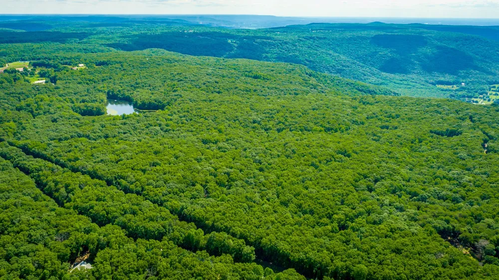 0 Deep Woods Road Sewanee, TN 37375