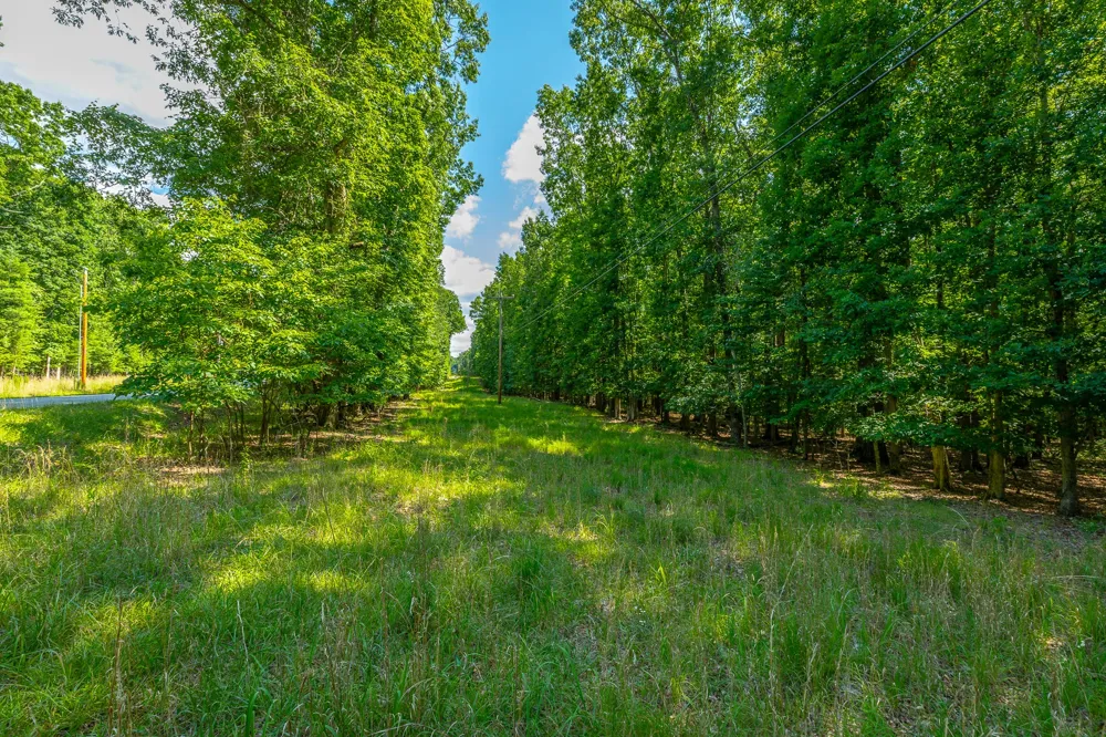 0 Deep Woods Road Sewanee, TN 37375