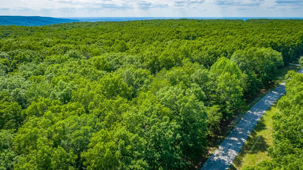 0 Deep Woods Road Sewanee, TN 37375