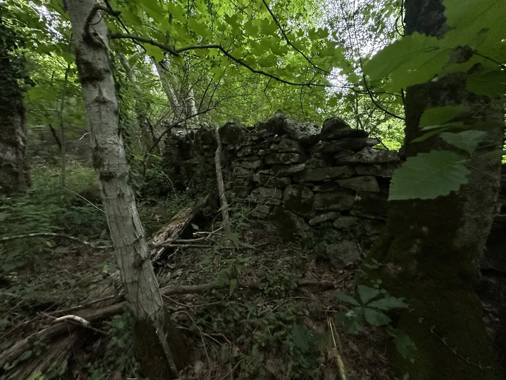 17 Hackett Valley Rd Hickman, TN 38567