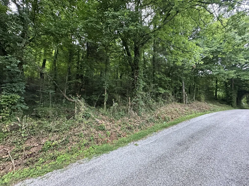 17 Hackett Valley Rd Hickman, TN 38567