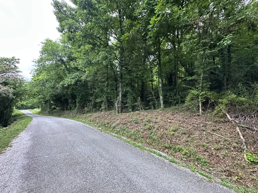 17 Hackett Valley Rd Hickman, TN 38567