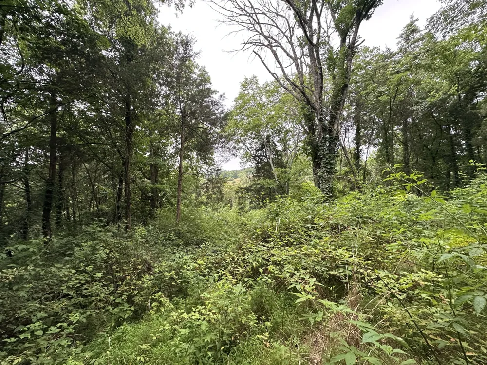 17 Hackett Valley Rd Hickman, TN 38567