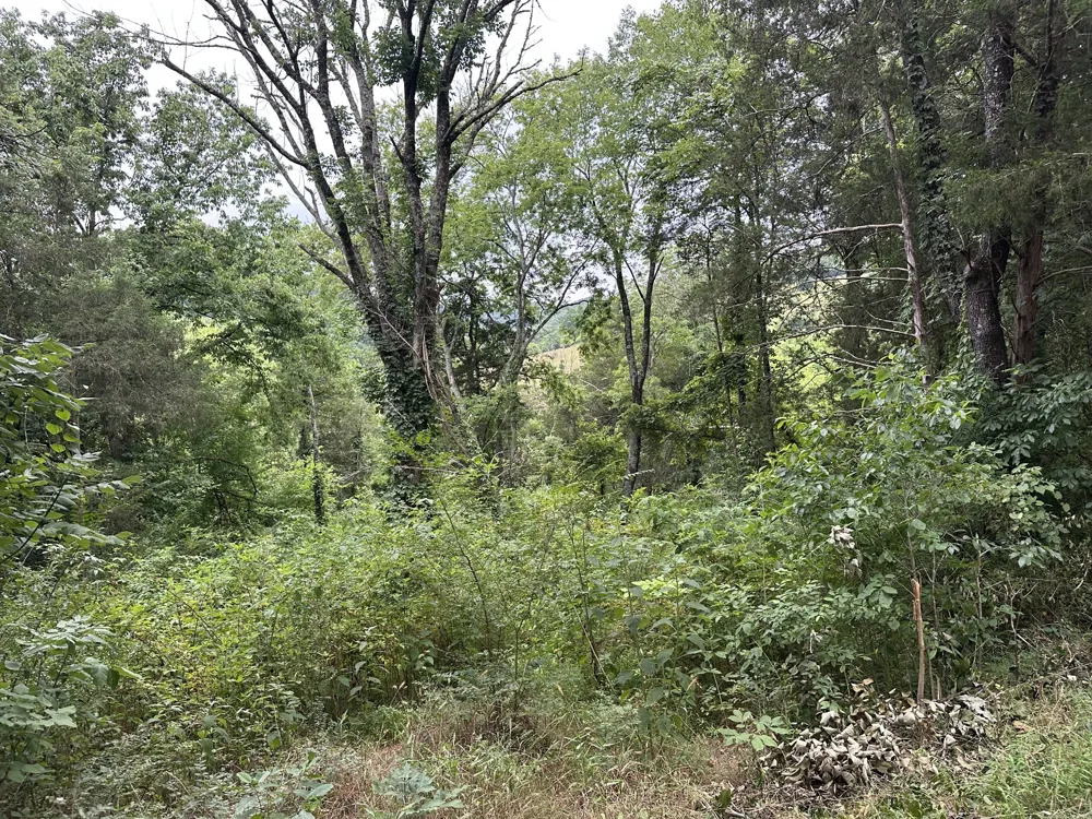 17 Hackett Valley Rd Hickman, TN 38567