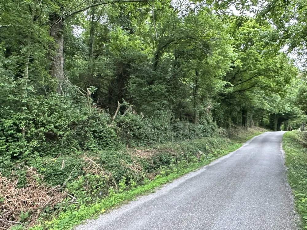 17 Hackett Valley Rd Hickman, TN 38567