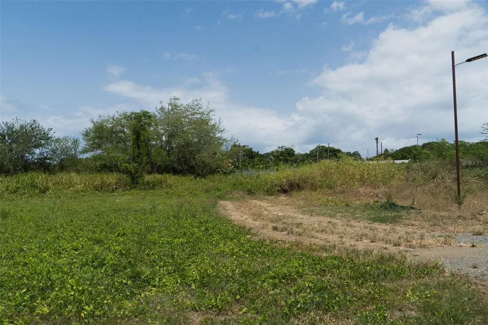 971 CAMINO EL DUQUE Naguabo, PR 00718