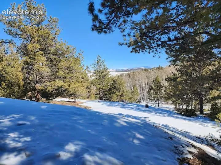 1173 Bellows Road Hartsel, CO 80449