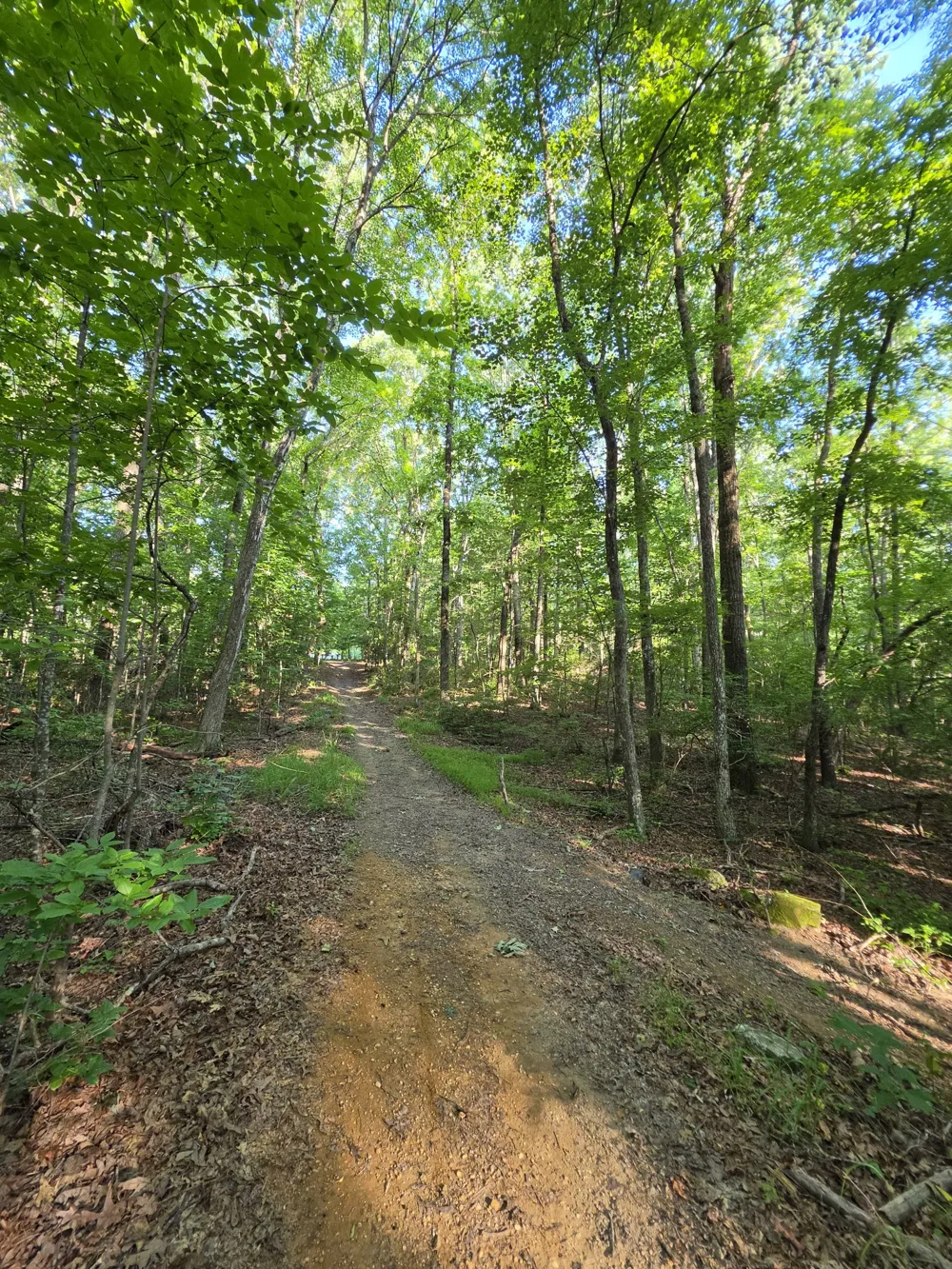 35 Chickory Ln Monteagle, TN 37356