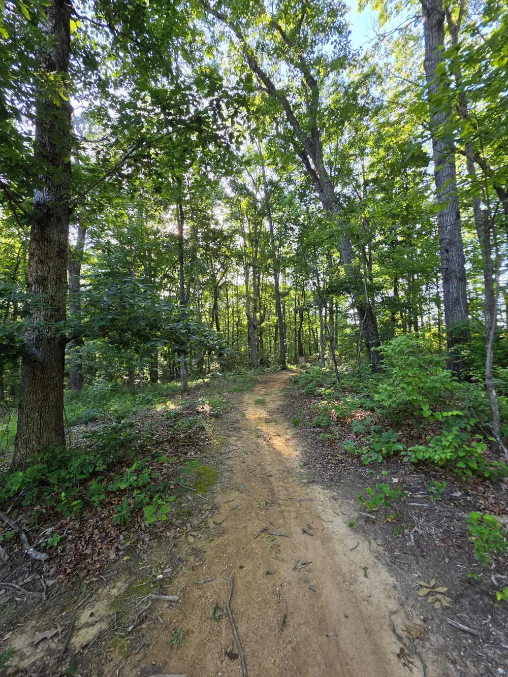35 Chickory Ln Monteagle, TN 37356