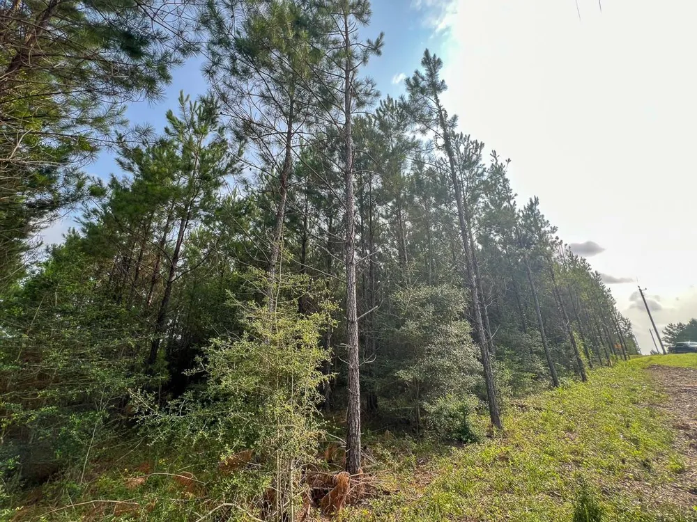 682 Cody Road Livingston, TX 77351