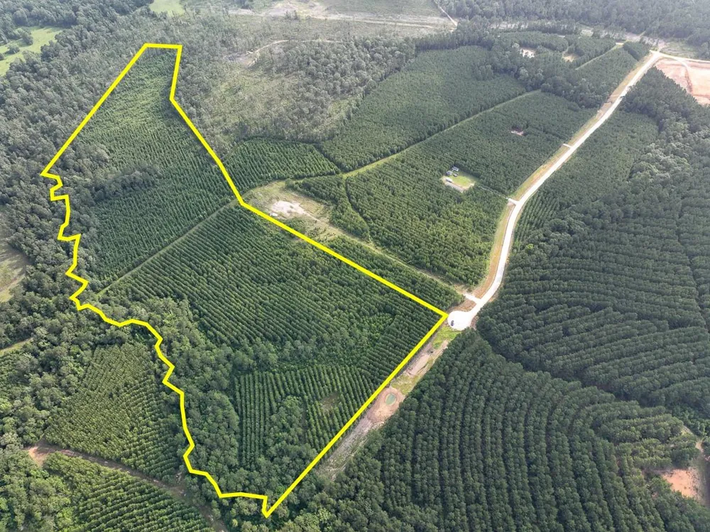 682 Cody Road Livingston, TX 77351