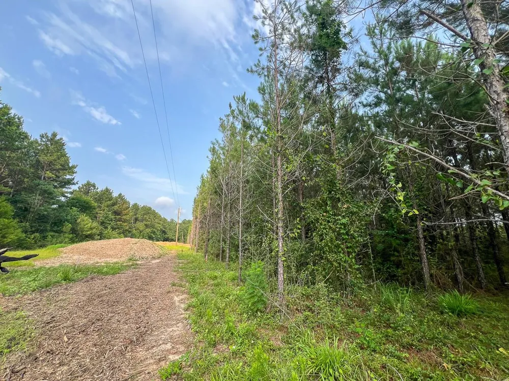 682 Cody Road Livingston, TX 77351