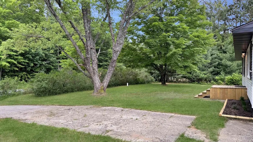3403 E 34 ROAD Selma Township, MI 49601