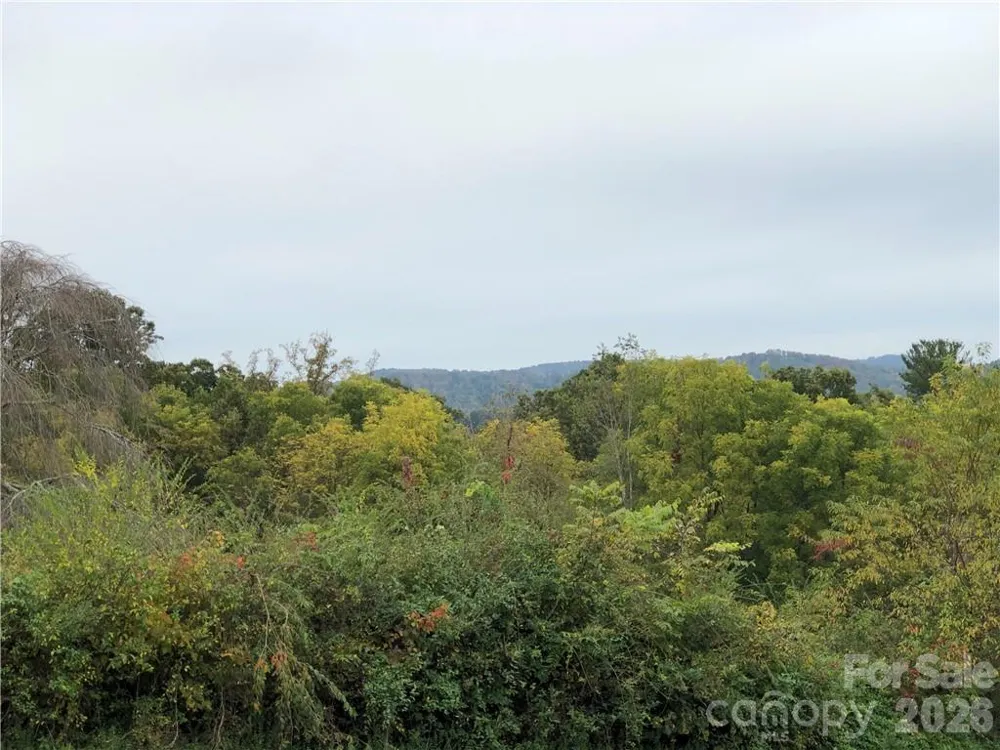 836 Burney Mountain Road Fletcher, NC 28732