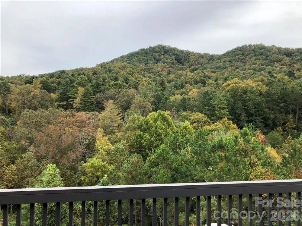 836 Burney Mountain Road Fletcher, NC 28732