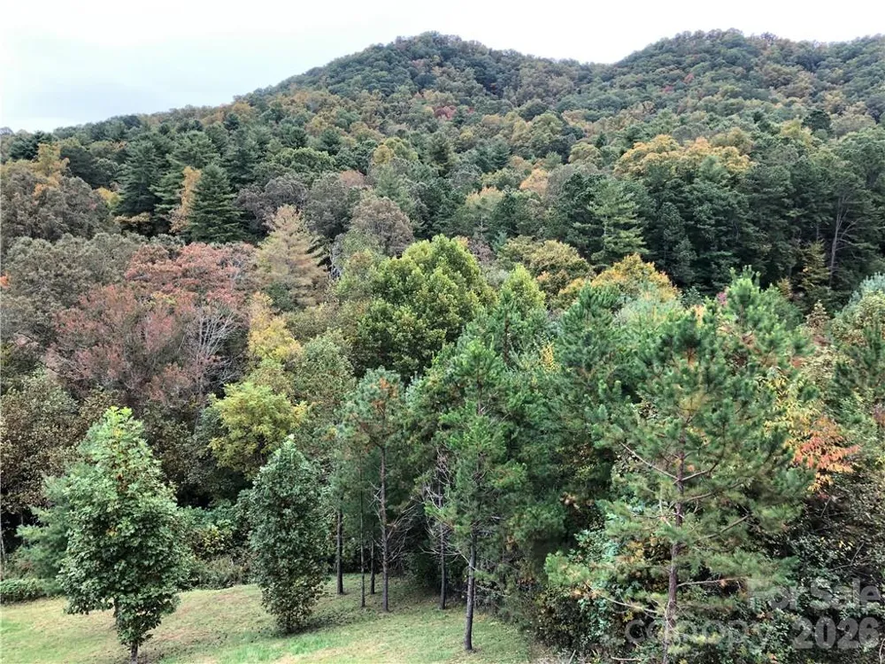 836 Burney Mountain Road Fletcher, NC 28732