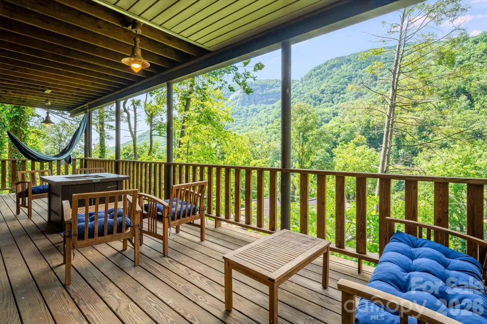 950 Main Street #5 Chimney Rock, NC 28720
