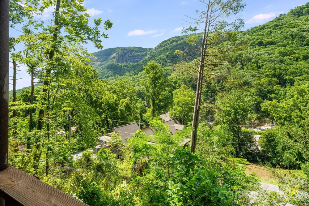 950 Main Street #5 Chimney Rock, NC 28720