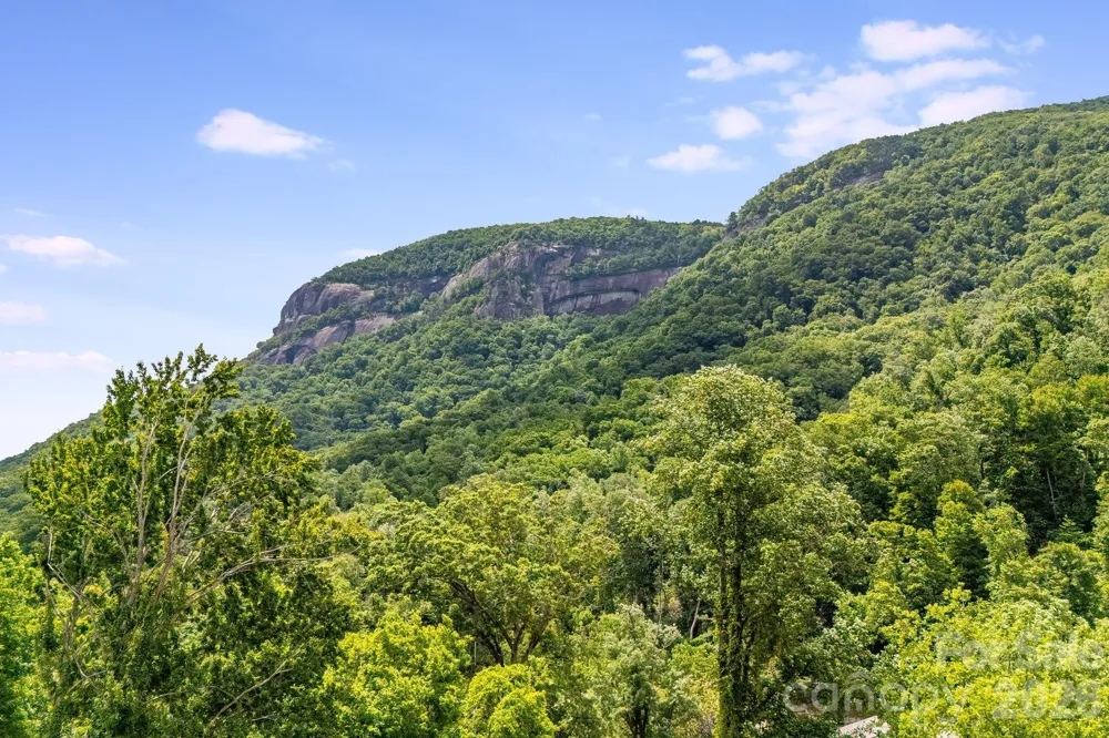 950 Main Street #5 Chimney Rock, NC 28720