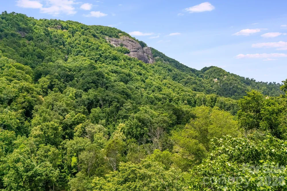 950 Main Street #5 Chimney Rock, NC 28720