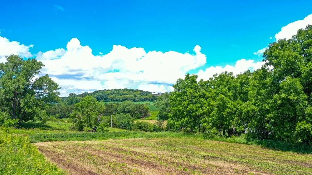 20860 Grosbeak Road Lanesboro, MN 55949