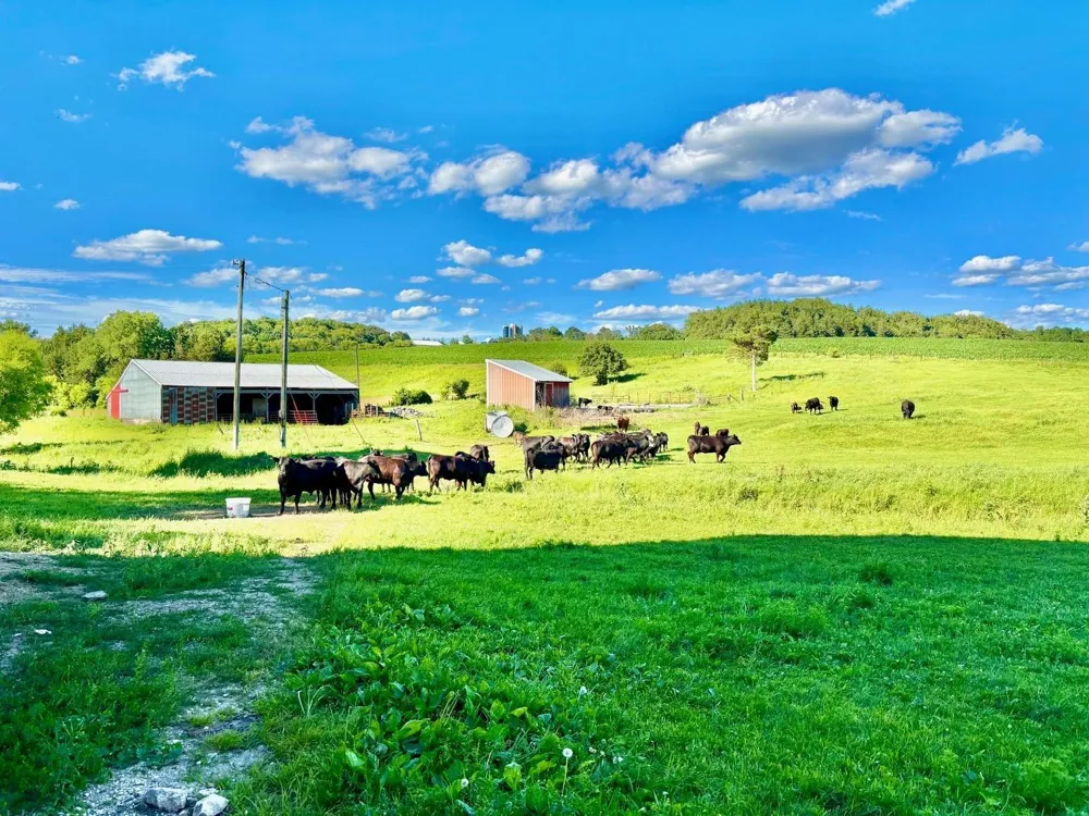 20860 Grosbeak Road Lanesboro, MN 55949