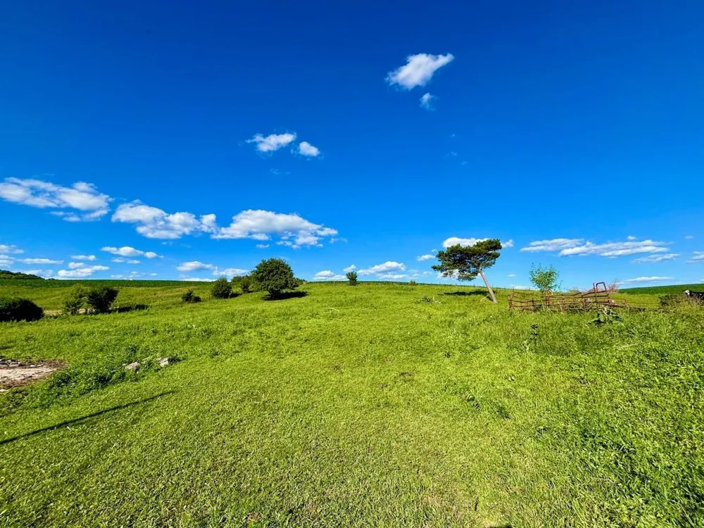 20860 Grosbeak Road Lanesboro, MN 55949
