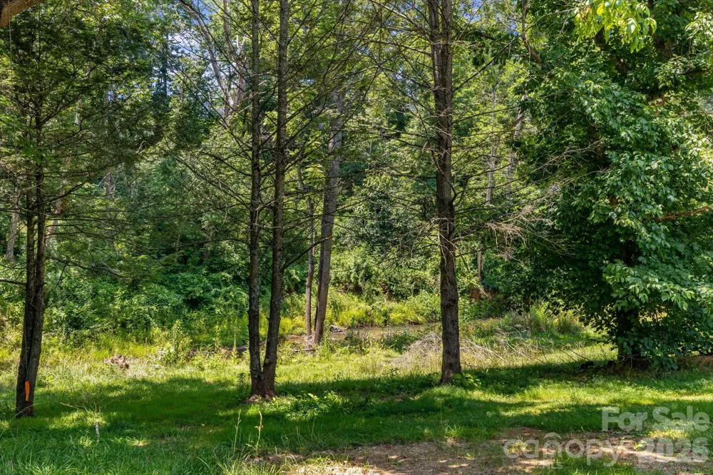 67 Banks Town Road Weaverville, NC 28787