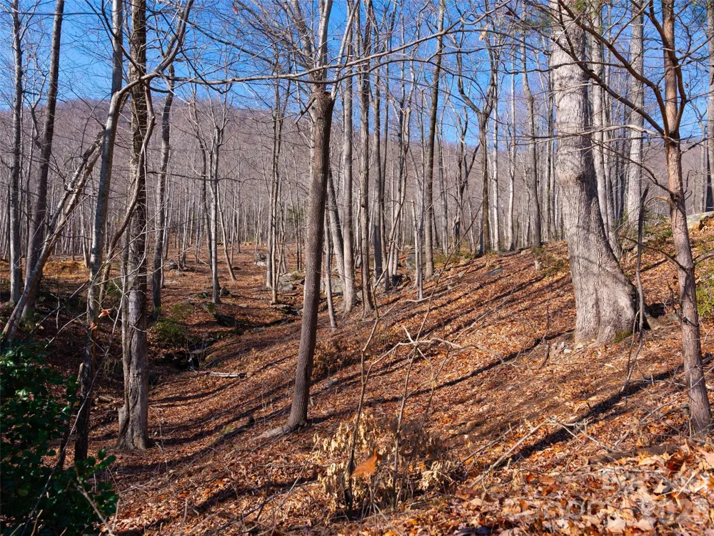 220 Chesterfield Drive Mill Spring, NC 28756