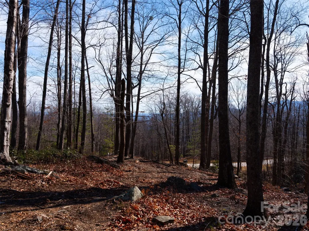 220 Chesterfield Drive Mill Spring, NC 28756