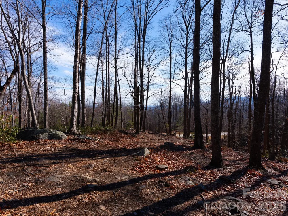 220 Chesterfield Drive Mill Spring, NC 28756