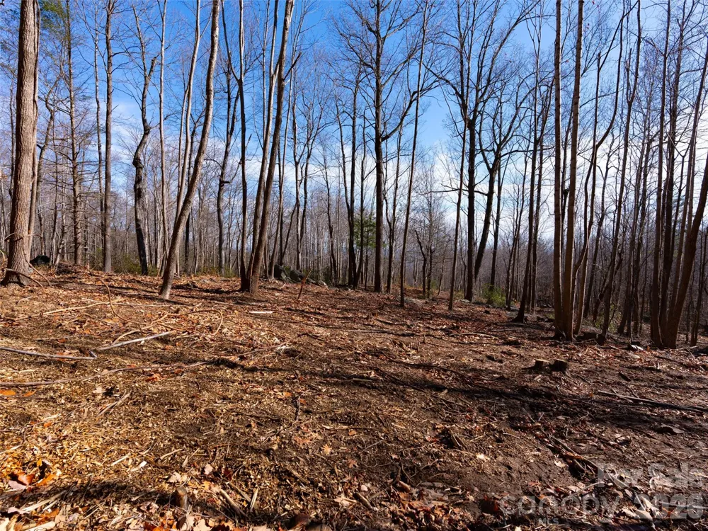 220 Chesterfield Drive Mill Spring, NC 28756