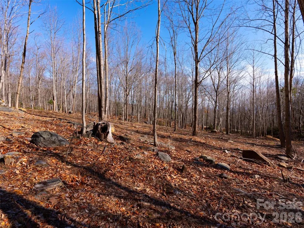 220 Chesterfield Drive Mill Spring, NC 28756