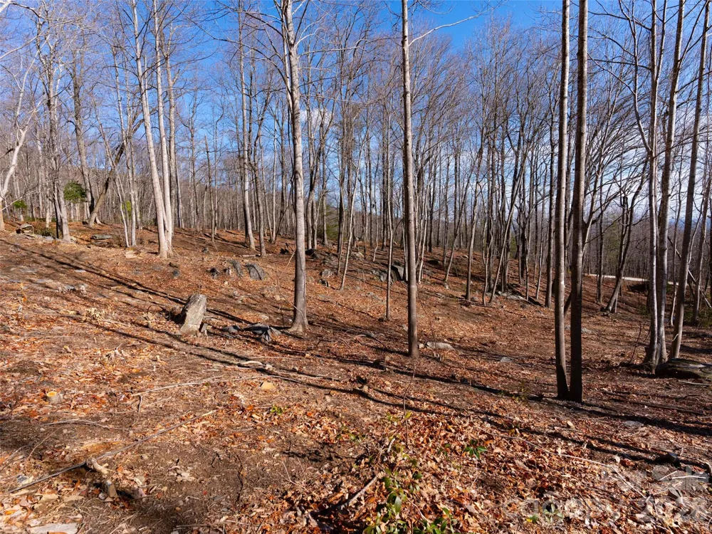 220 Chesterfield Drive Mill Spring, NC 28756